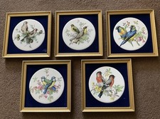 Vintage Plaques Birds Antique Bird Wall Plaques Staffordshire Ceramics STUNNING