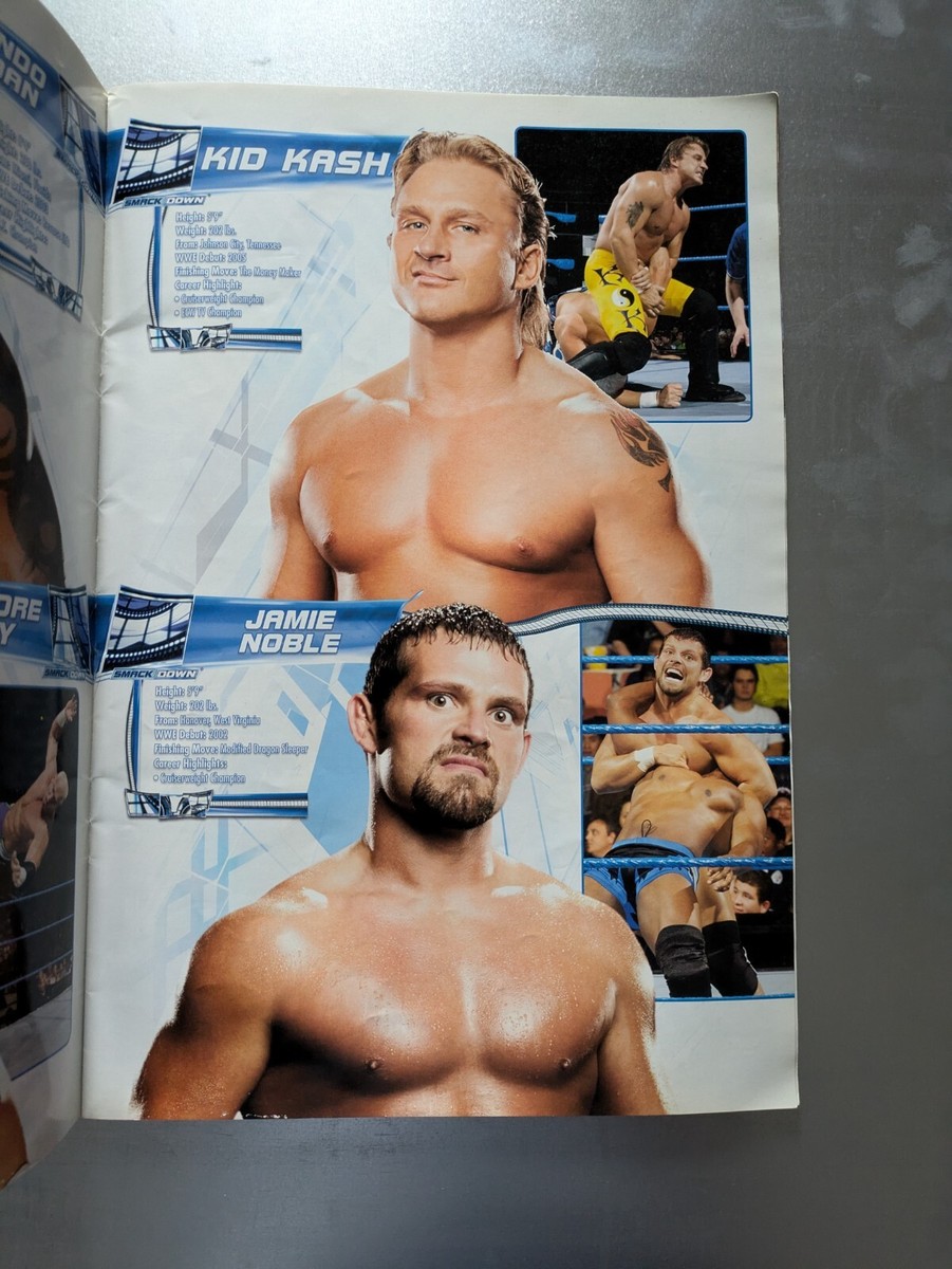 Nintendo Wii - WWE SmackDown Vs Raw 2008 - Bon État