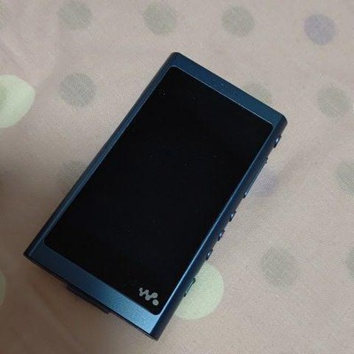 Sony Walkman Nw -A50Reries | eBay