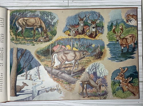 Vtg 1942 CHILDCRAFT BOOKS ~ Art and Music Vol 13 & Science and Industry Vol 14 - Picture 10 of 18