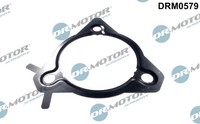 Dr.Motor Automotive DRM0579 Dichtung, Einspritzpumpe For Ford