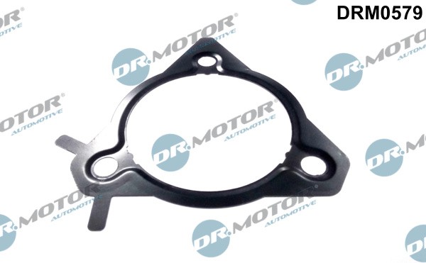 Dr.Motor Automotive DRM0579 Dichtung, Einspritzpumpe For Ford-image