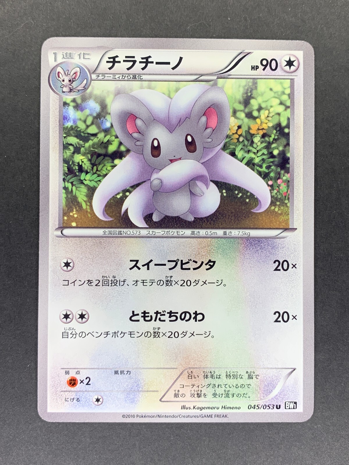 Cinccino 045/053 BW1 Black Collection Japanese Pokemon Card