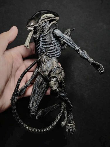 NEW NECA Alien:Covenant Movie figure Xenomorph Warrior 7" Action Figure IN BOX - Picture 15 of 22