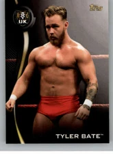 2019 Topps WWE NXT Wrestling Roster Singles (Pick Your Cards)