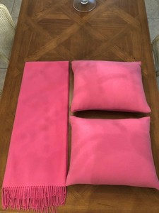 william sonoma throw pillows