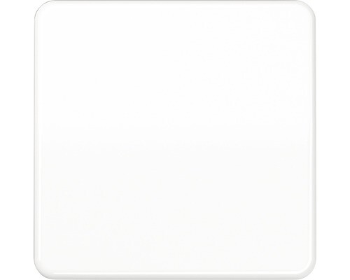 Jung CD 1700 WW Steuertaste Standard CD500 alpinweiß - Bild 1 von 1