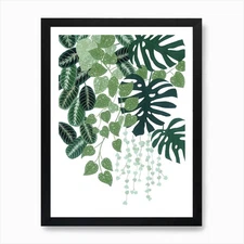 Urban Jungle No1 Botanical Painting Framed Wall Art Poster Canvas Print Picture