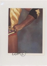 1992 Merlin WWF Album stickers Scott Hall Razor Ramon #160 0b3