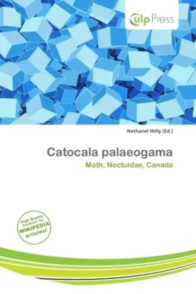 Nethanel Willy | Catocala Palaeogama | Taschenbuch | Englisch (2026)-image
