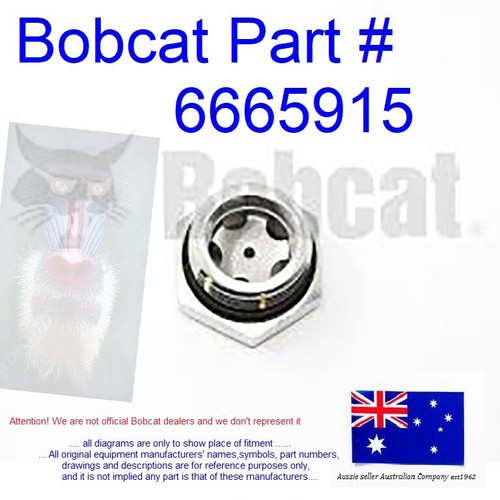 Oil Level Sight Gauge Hydraulic Tank fits Bobcat T180 T190 T200 T250 T300 T320 eBay