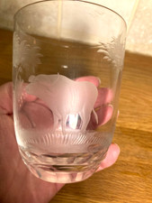 ROWLAND WARD Safari  Crystal - Tumbler Glass  / Glasses - Buffalo - Cut by Moser