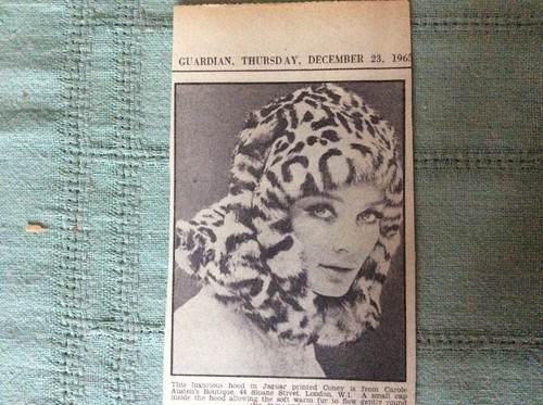 d8-1 ephemera 1965 bild carole austen boutique london jaguar motorhaube