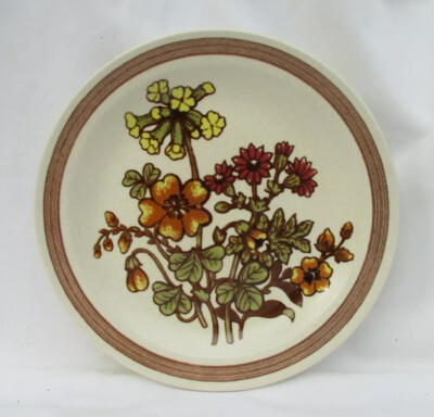 Schöner Vintage Royal Worcester Palissy Heckenmuster Speiseteller
