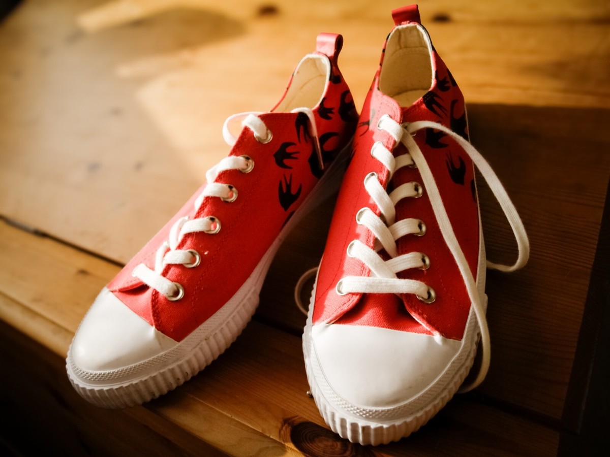 Alexander McQueen McQ Red Swallow Vulc Low Top Unisex Trainers