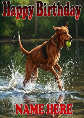 coon hound holt ein pid99 Geburtstagskarte Vater Mutter Ruhestand jeder Anlass
