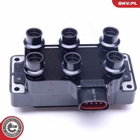 Esen SKV ZüNdspule 03SKV252 FüR Ford USA