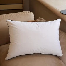 Natural Goose Down Pillows - White Down Pillow Queen Size - 550 Fill Power -Soft