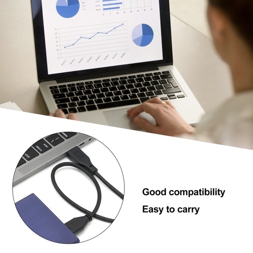 40GB BU KING External Drive 2.5in YD00012 Mobile Hard Disk For Desktop Compu NEW - Afbeelding 3 van 12