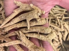 8oz/1LB American Wisconsin 6 years Ginseng Long Root                   /         