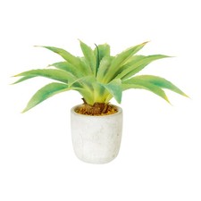 Image of Artificial Cactus Succulent Plant in a Stone Ceramic Pot 26cm Tall Child Safe