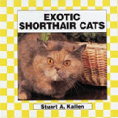 Exotic Shorthair Cats Cats Set Ii By Kallen Stuart A Ebay
