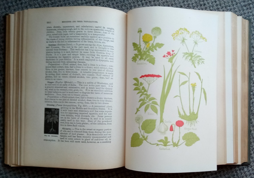 Antique 1923 Book: The Household Physician, A Twentieth Century Medica Volume II - Picture 14 of 24