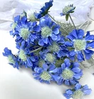 Scabiosa Stem Blue Scabious Spray Faux Silk Cottage Flowers Blue Scabiosas x 1