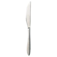 Classic Silver Stainless Steel Table Knife
