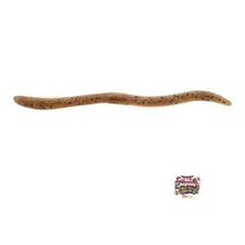 JACKALL Flick Shake 500 3.8-inch Spawn Gill Two-Tone Color