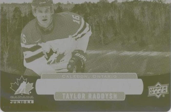 Printing Plate Yellow