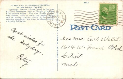 FL-Florida, Flame Vine, bellissima vite ornamentale, c1939 cartolina d'epoca - Foto 2 di 2