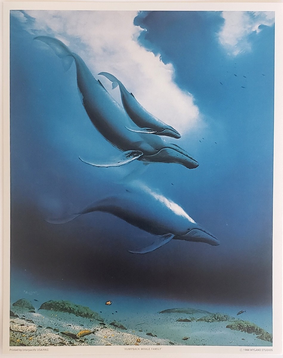 Wyland Humpback Whale Family Ocean Animals Underwater Decoration