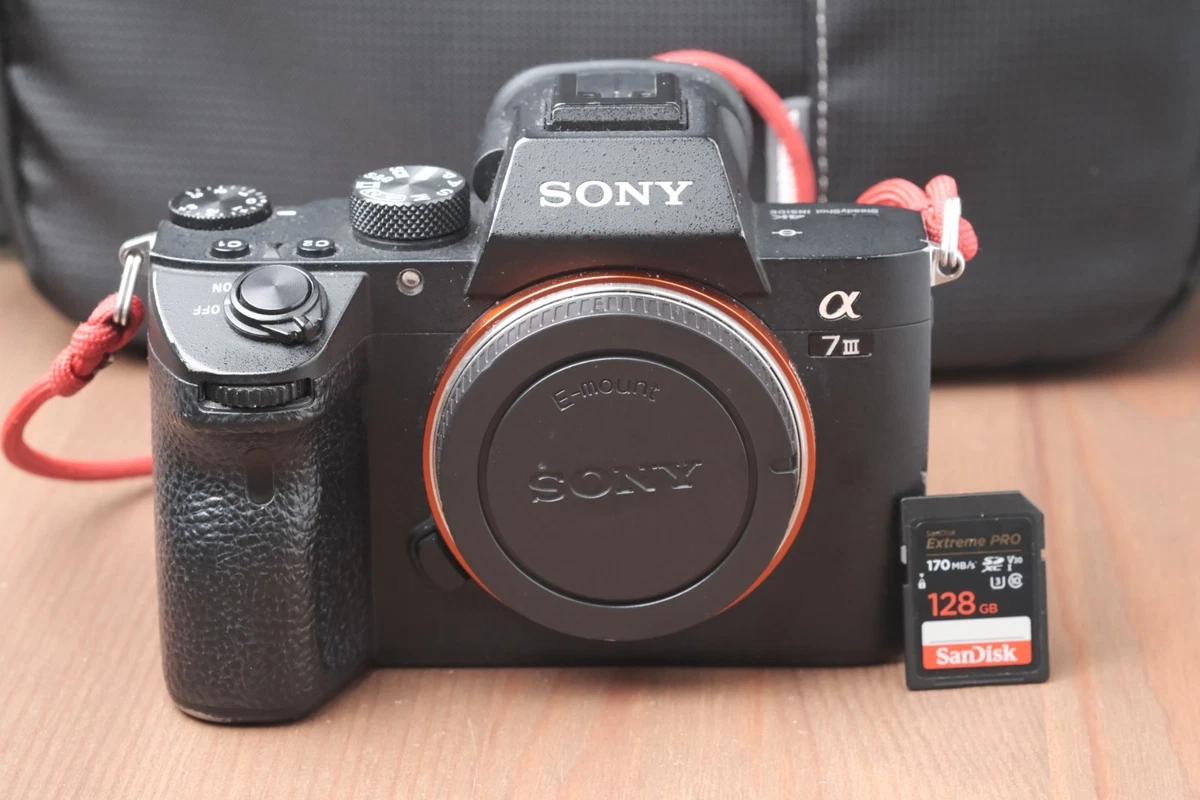Sony A7III Digital Cameras for Sale - Shop New & Used Digital