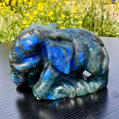 3.6LB Natural Flash Labradorite Hand Carved Elephant Crystal Home Decor