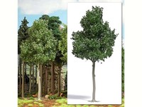 Busch 3799 Natur Pur Exklusiv Waldahorn