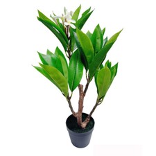 2.25 Ft Cream Fuchsia Artificial Plumeria Flo...