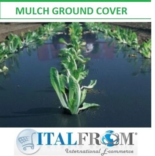 Control de malezas Sin marca para terraza y jardín