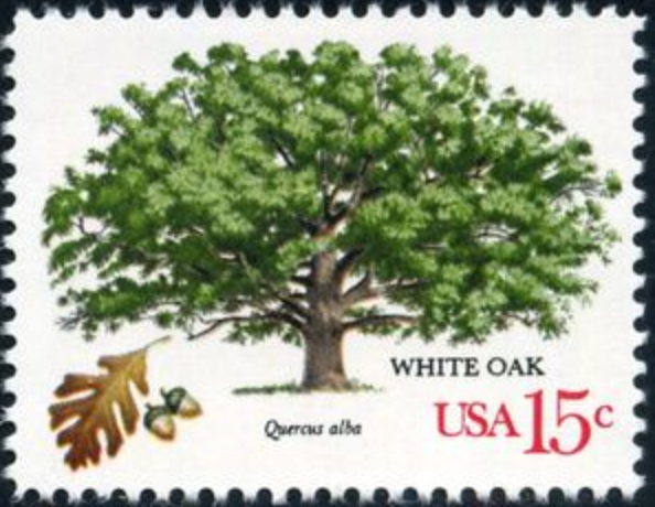 US #1766 MNH 1978 American Trees Issue White Oak | eBay