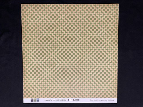 WE R MEMORY KEEPERS "COMSTOCK" 12X12 DS HEAVY PAPERS - Picture 20 of 25
