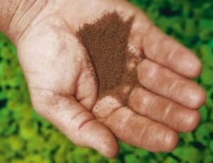 what's the difference between grabba and tobacco What is Grabba? Everything You Need to Know