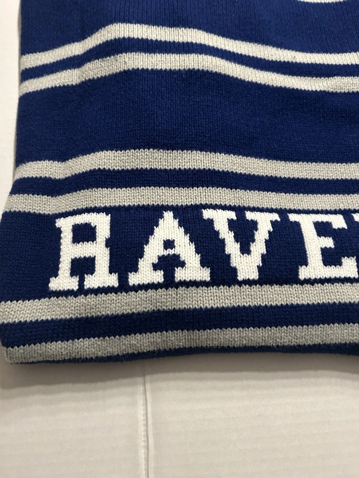 Manta Pottery Barn Teen Harry Potter Ravenclaw azul a rayas 50x60 Foto 2 de 4