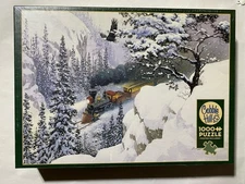 Cobble Hill 1000 Piece Puzzle The Passage Train Snow Eagle Douglas Laird 26 x 19