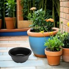 Foto 10 di 12
