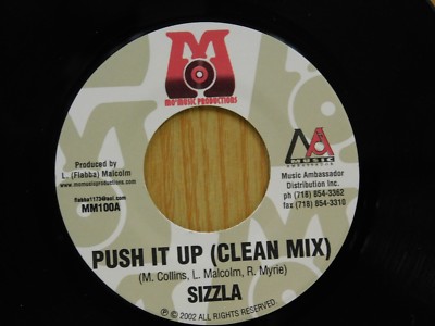 Sizzla 45 PUSH IT UP (clean mix) bw (dirty mix) - Mo'Music M- | eBay
