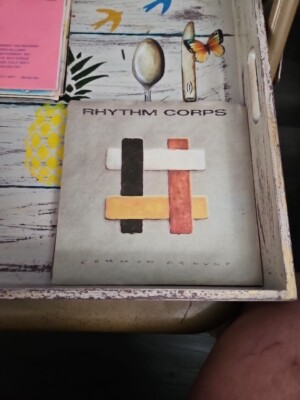 RHYTHM CORPS COMMON GROUND  45 W Pic Sleeve VG DEMO