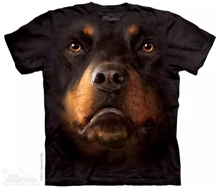 Rottweiler top dog big