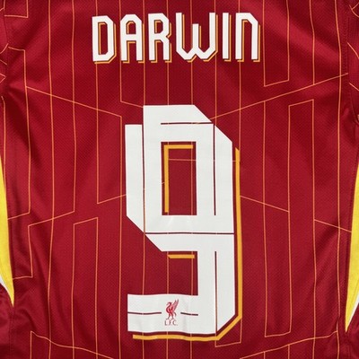 Darwin 9 Liverpool 2024/2025 Heim Fußballtrikot Herren Small - Original
