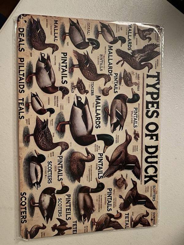 Types Of Ducks Metal Sign 8x12 