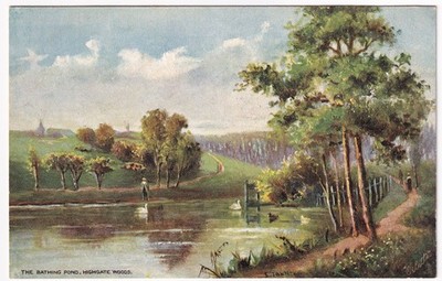 Raphael Tuck Oilette Postkarte Highgate Woods London Der Badeteich Serie 7265